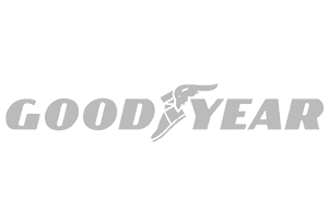Goodyear uses our inspection report software